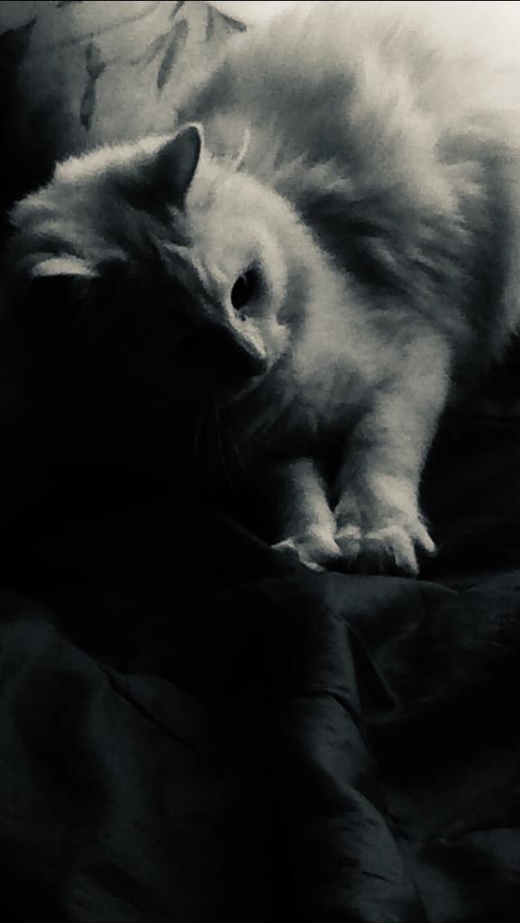 54261d7c-e8ee-44af-b733-3824d8ac66e0