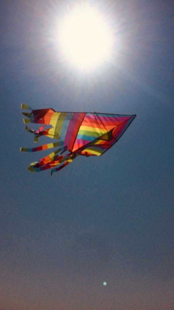 65d84dcb-fce5-4fda-8d37-9708ad66e217