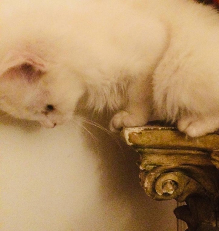 a7bffbae-aa94-4d3e-8925-26b95b891fbd