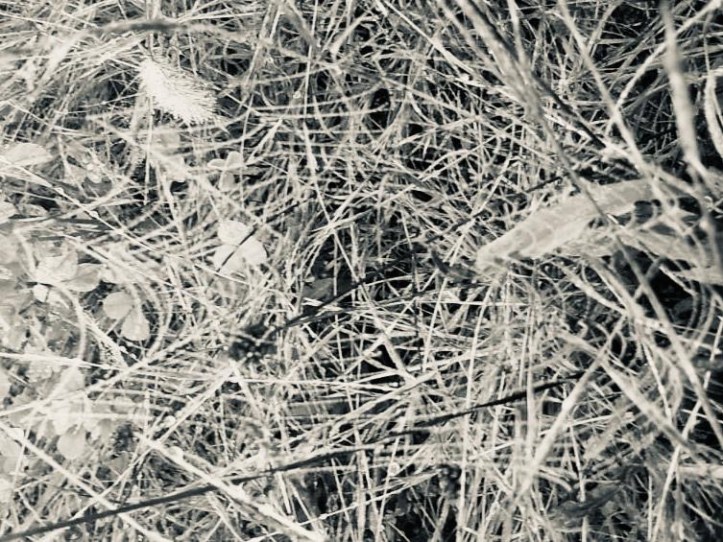 b60c3eaf-2f8c-4947-a1bc-efedf64fc839