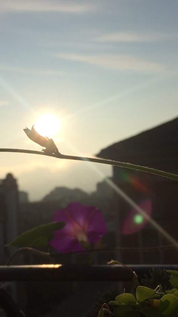 be589d05-dcb3-4248-b69c-2ce150eb0de5