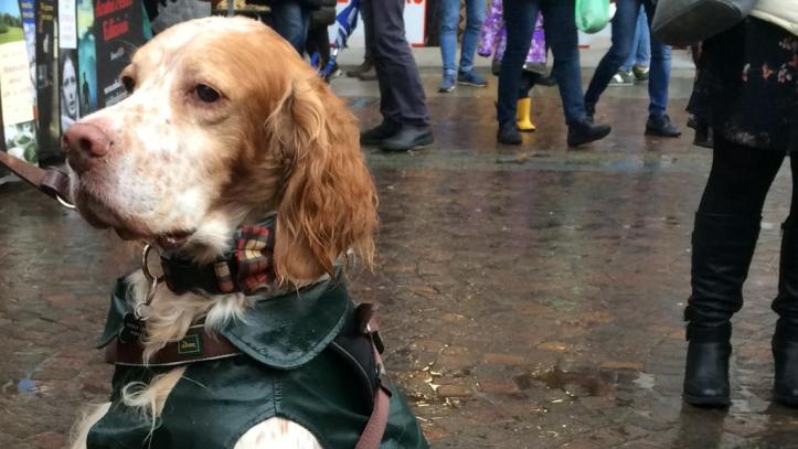 WhatsApp Image 2019-11-11 at 8.58.24 PM