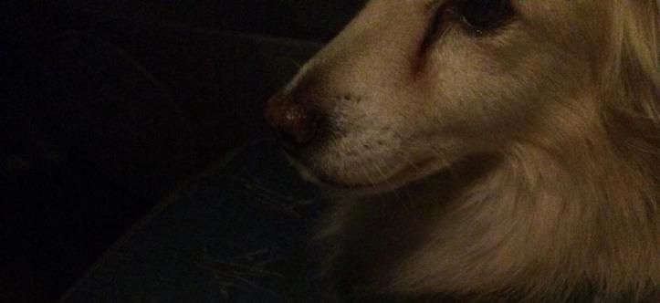 WhatsApp Image 2019-11-21 at 5.24.30 PM