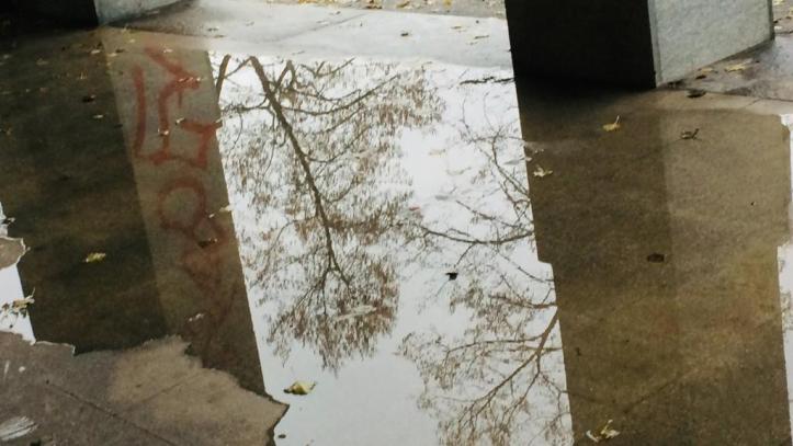 WhatsApp Image 2019-11-23 at 1.47.15 PM