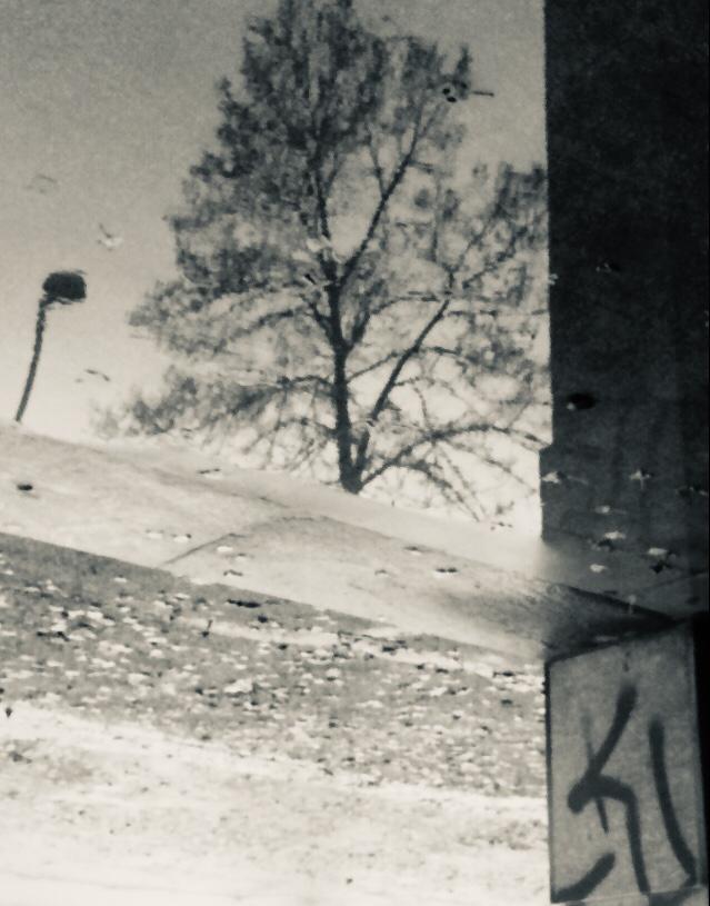 WhatsApp Image 2019-11-23 at 3.22.43 PM