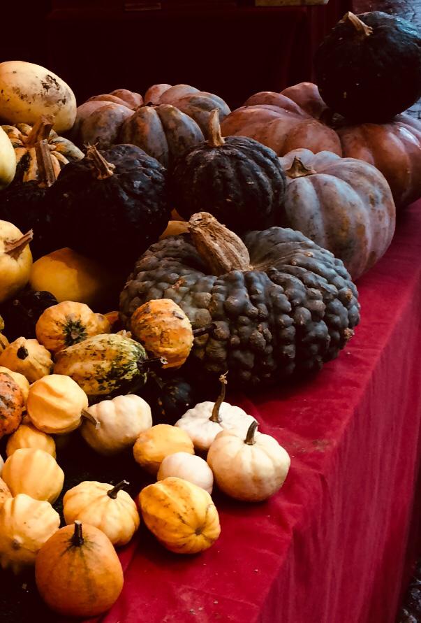 WhatsApp Image 2019-11-23 at 9.29.41 PM