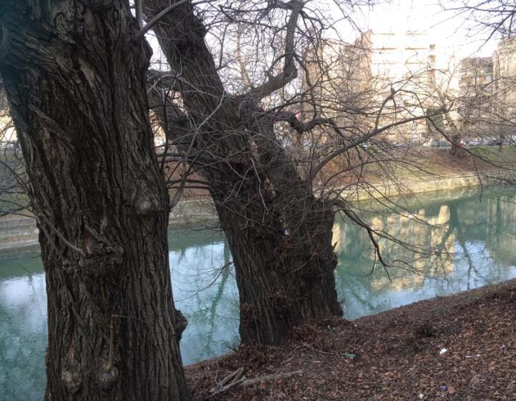 WhatsApp Image 2020-01-30 at kkM