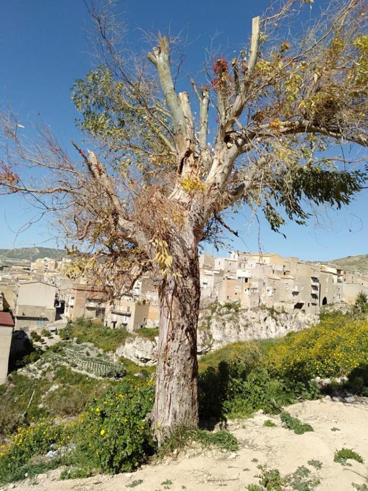 WhatsApp Image 2020-02-23 at 10.11.38 PM