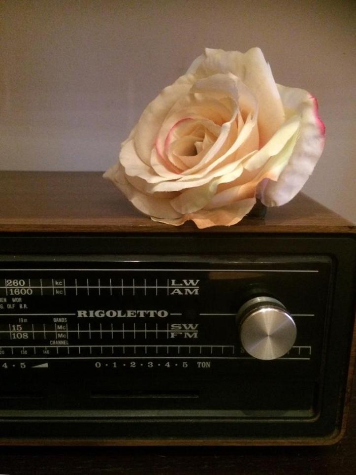 WhatsApp Image 2020-02-23 at 10.17.29 PM