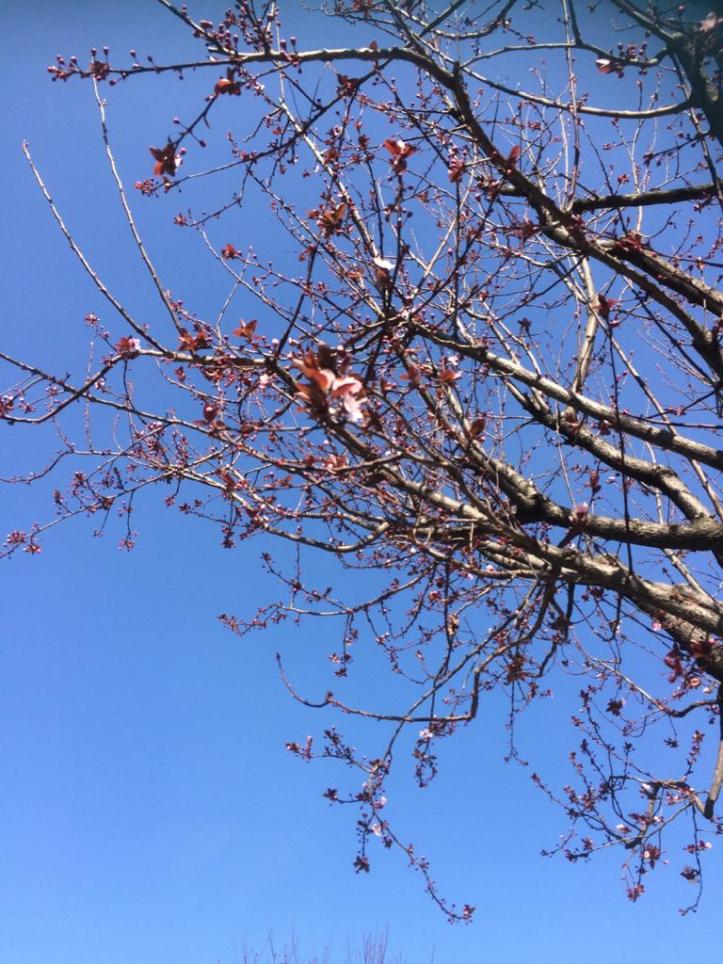 WhatsApp Image 2020-02-24 at 6.53.28 PM (6)