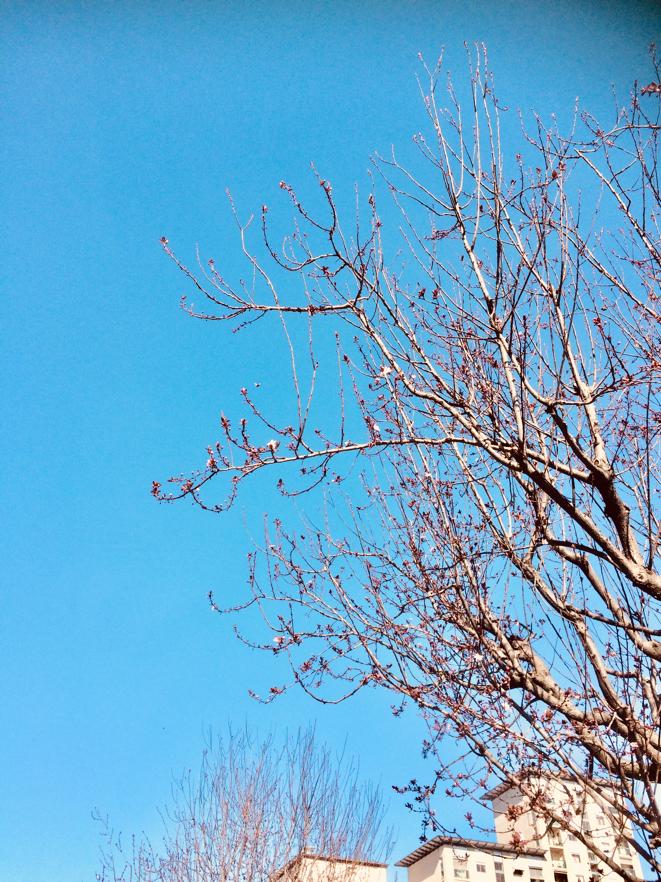 WhatsApp Image 2020-02-24 at 6.53.28 PM (7)