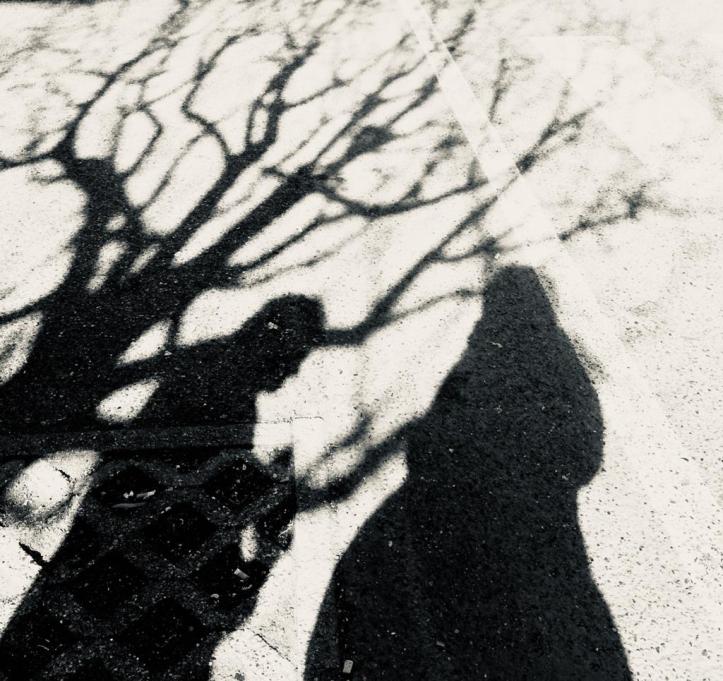 WhatsApp Image 2020-02-24 at 6.53.28 PM (8)