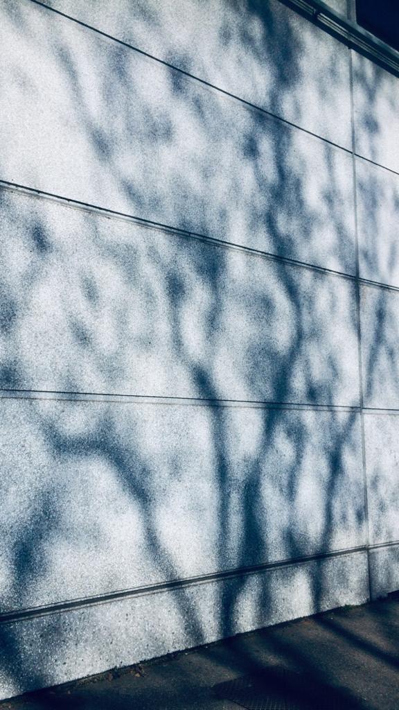 WhatsApp Image 2020-02-24 at 6.53.28 PM (9)