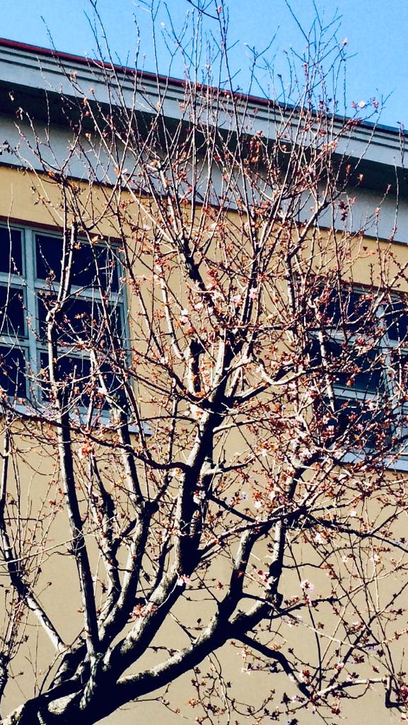 WhatsApp Image 2020-02-24 at 6.53.28 PM